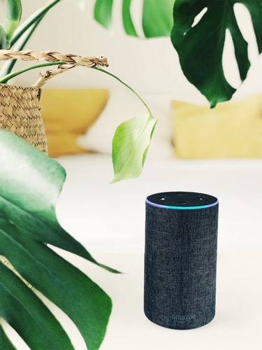 Alexa has new features to help you during this quarantine. Check inside for more details